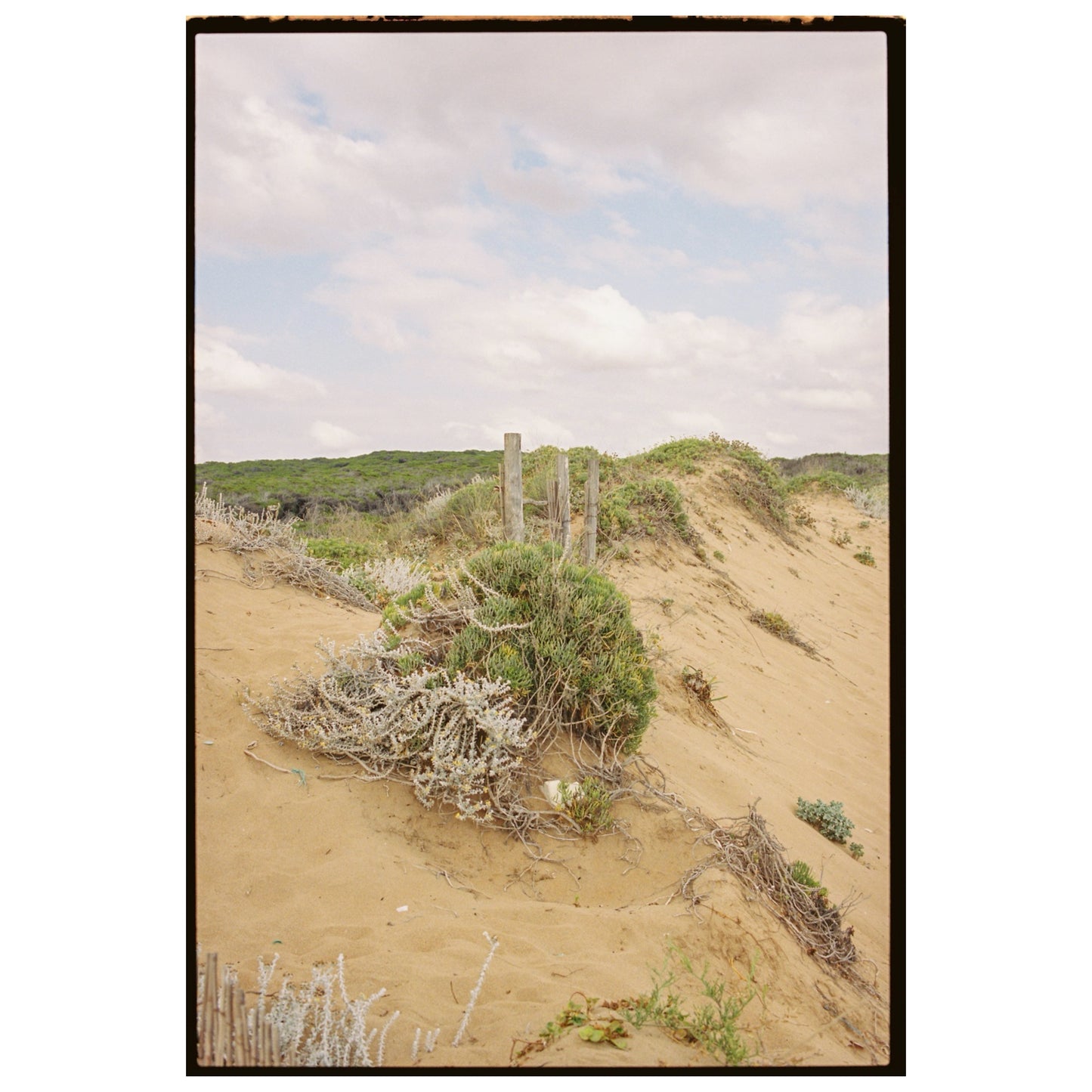 Vollformat - Nur für 35mm-Filme