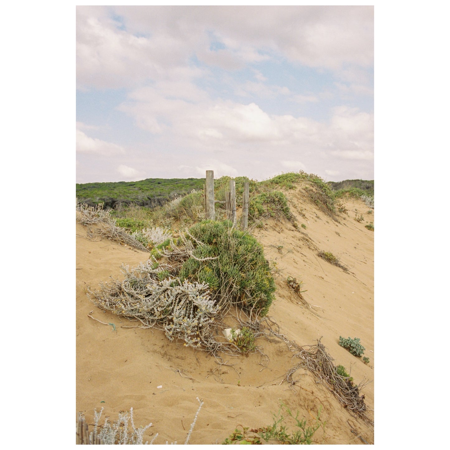 Vollformat - Nur für 35mm-Filme