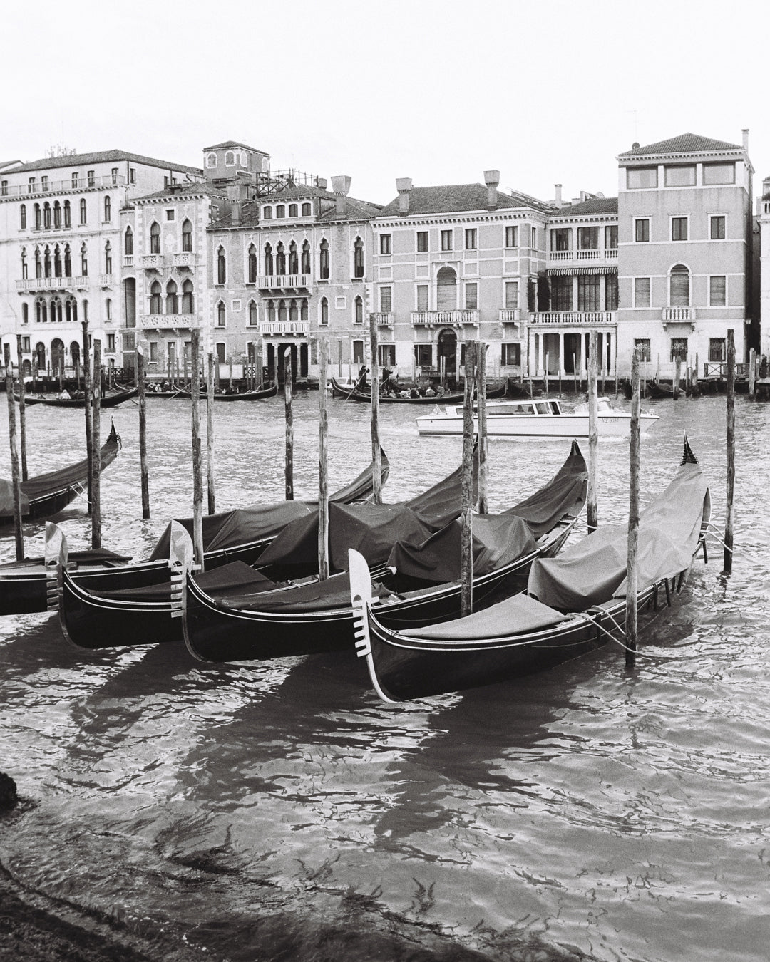 Kodal Double-X 250 [5222] - Schwarzweiß