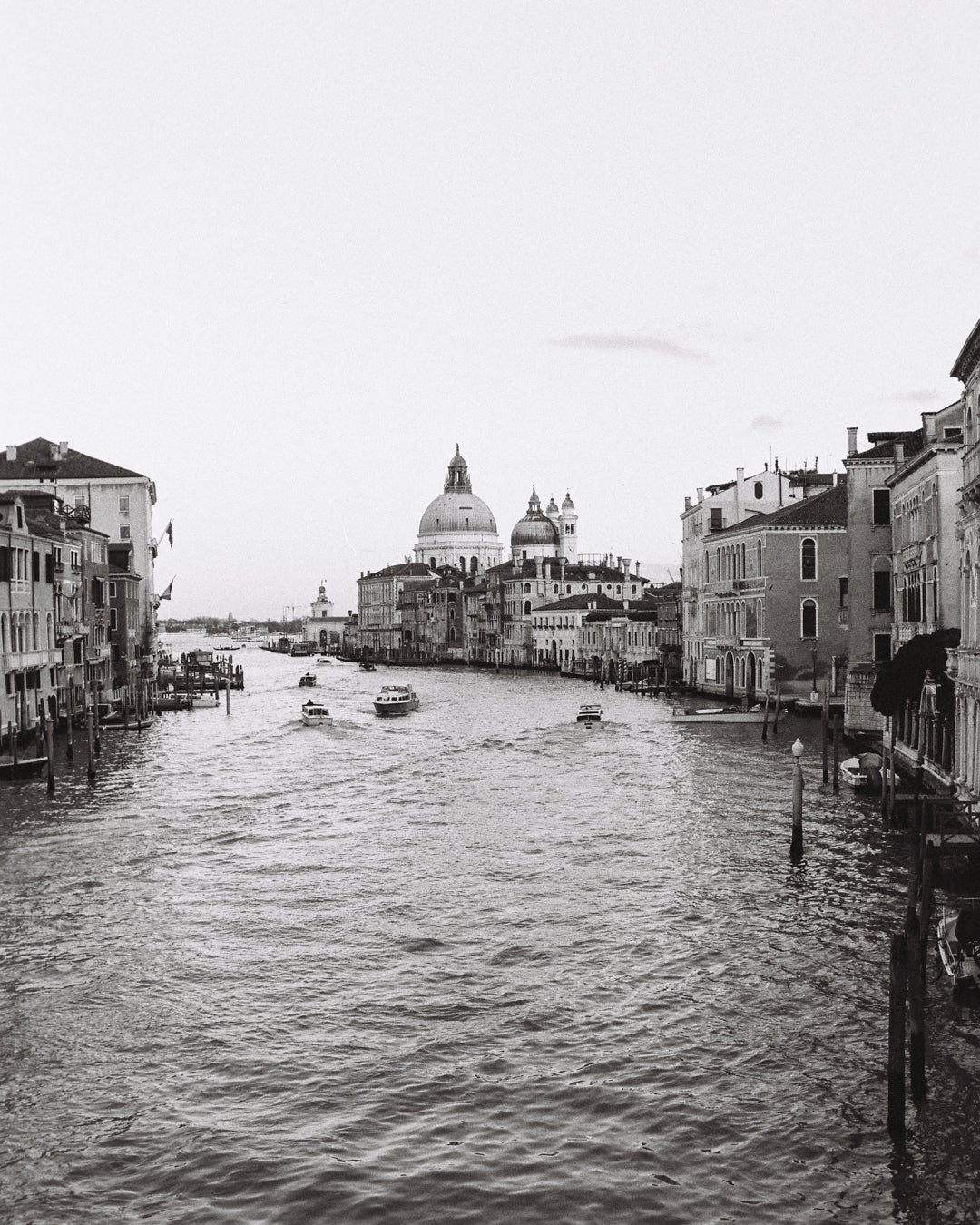 Kodal Double-X 250 [5222] - Schwarzweiß